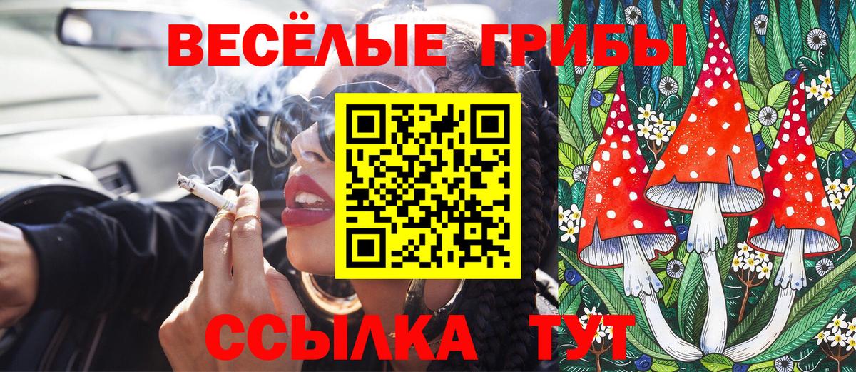 Галлюциногенные грибы Psilocybe  Вход с VPN  Невинномысск 