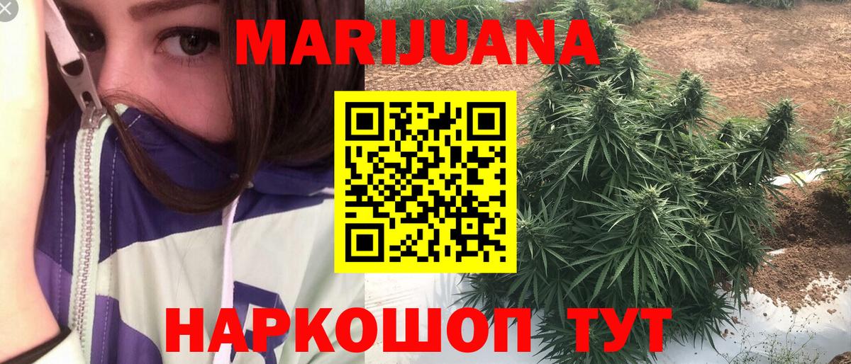 Бошки Шишки планчик  Вход с VPN  МАРИХУАНА VHQ  Невинномысск 